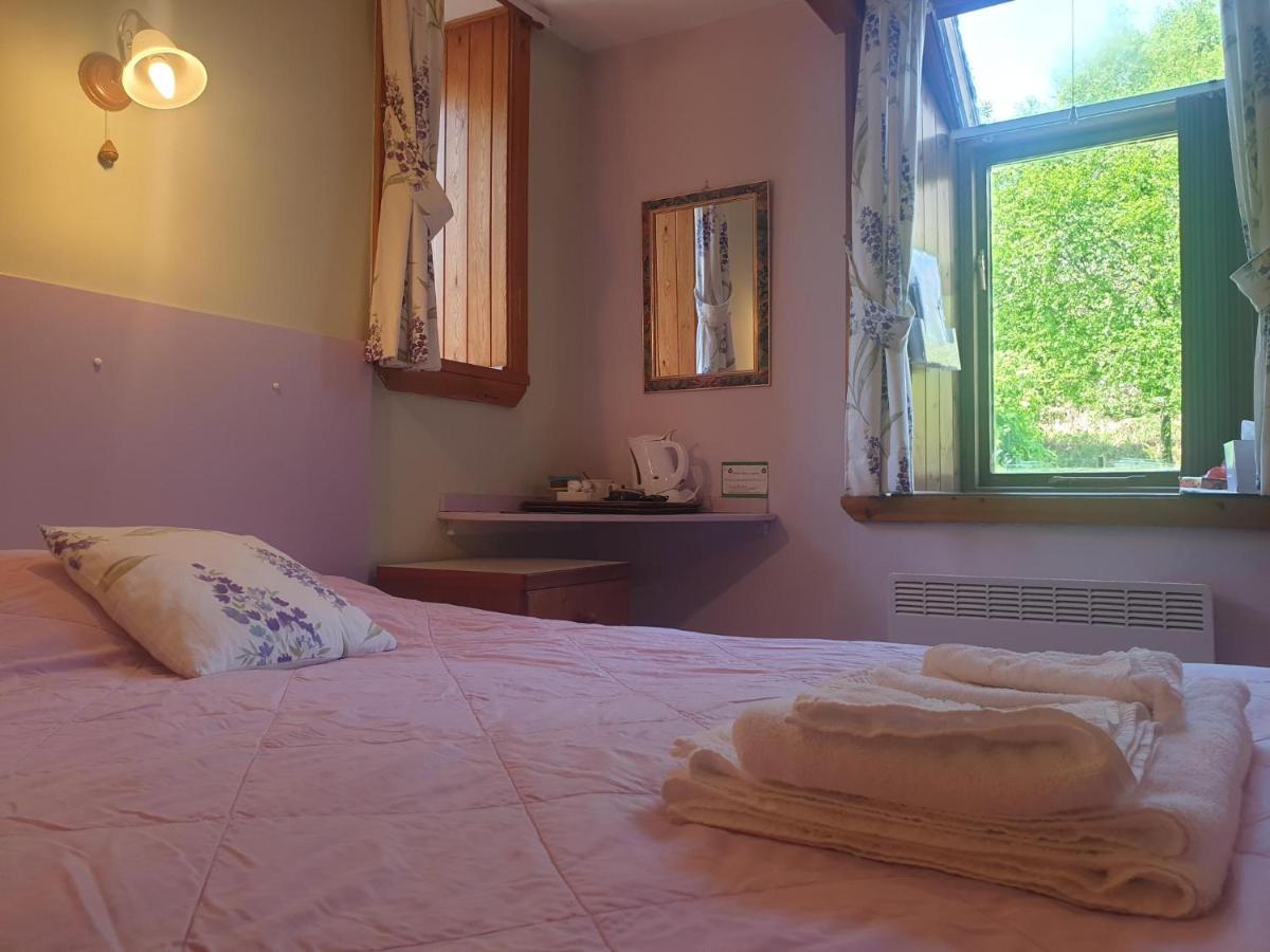 Bryn Elltyd Eco House Pensionat Blaenau Ffestiniog Exteriör bild