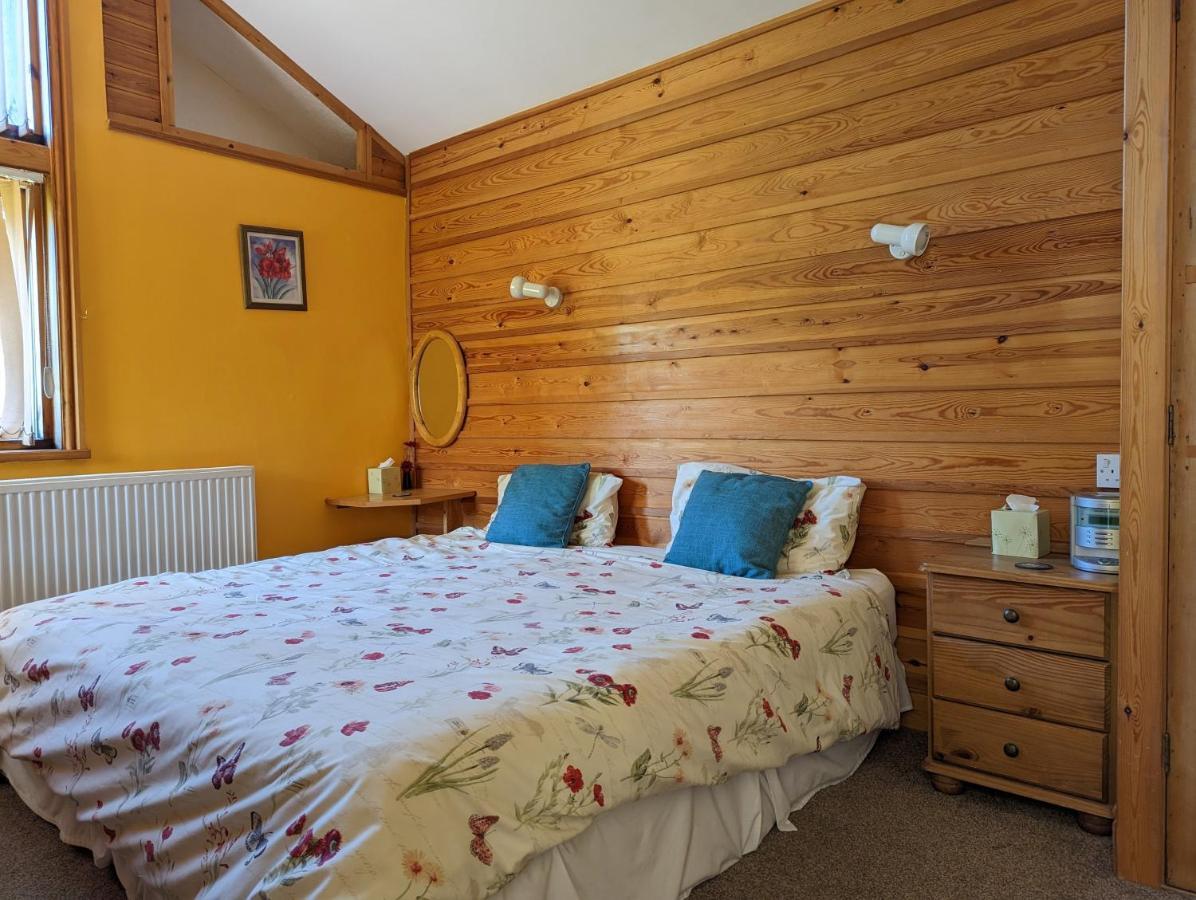 Bryn Elltyd Eco House Pensionat Blaenau Ffestiniog Exteriör bild