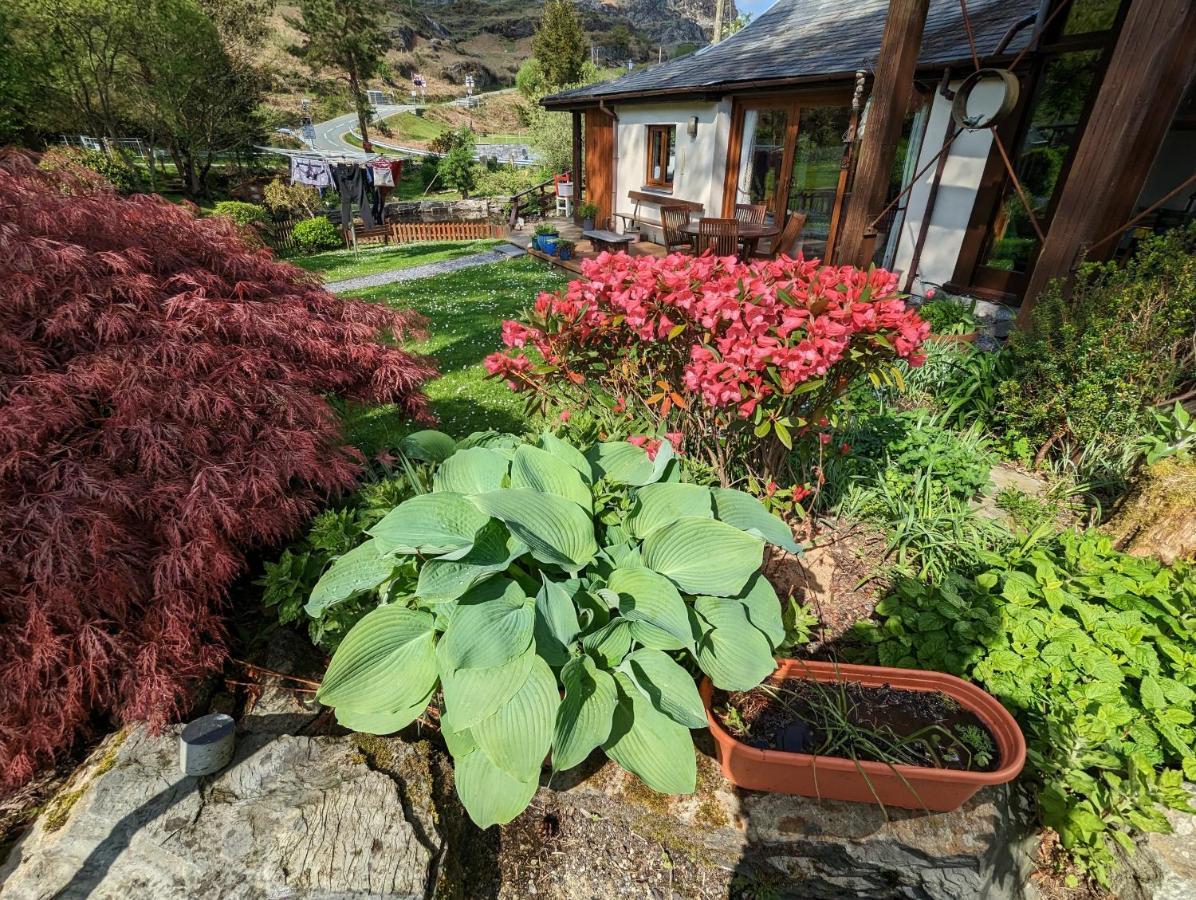 Bryn Elltyd Eco House Pensionat Blaenau Ffestiniog Exteriör bild