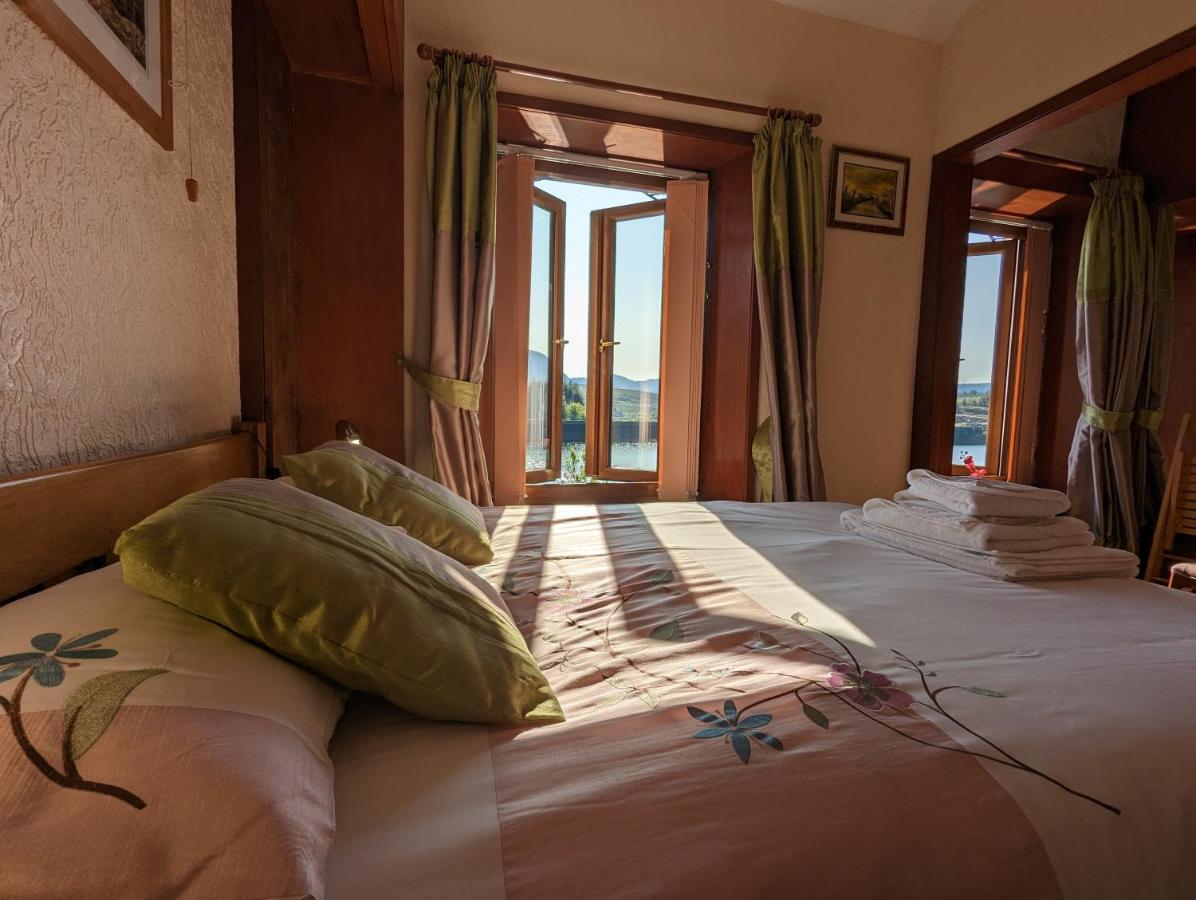 Bryn Elltyd Eco House Pensionat Blaenau Ffestiniog Exteriör bild