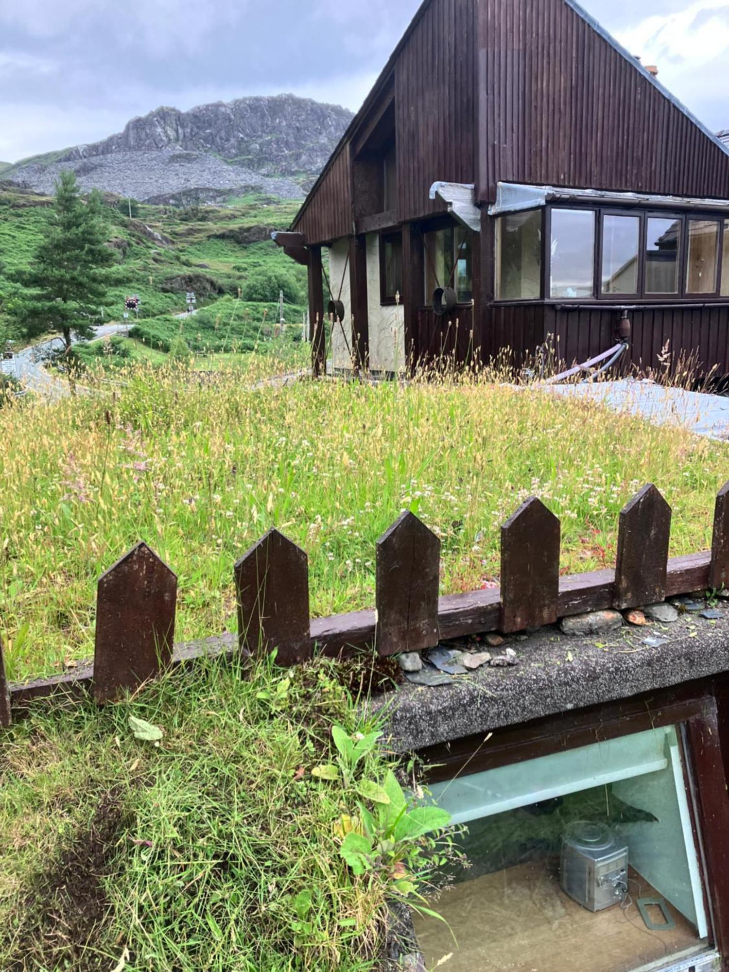 Bryn Elltyd Eco House Pensionat Blaenau Ffestiniog Exteriör bild