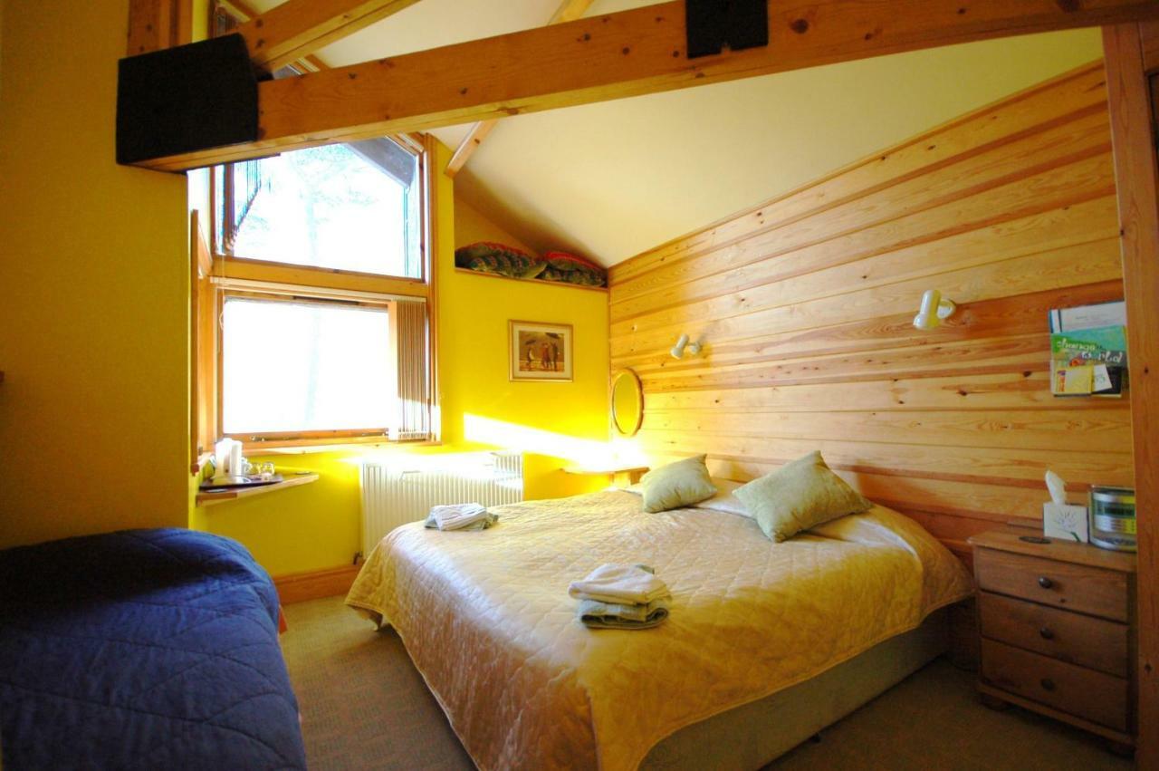 Bryn Elltyd Eco House Pensionat Blaenau Ffestiniog Exteriör bild